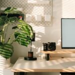 Tips for Creating a Relaxing and Productive Home Office Environment